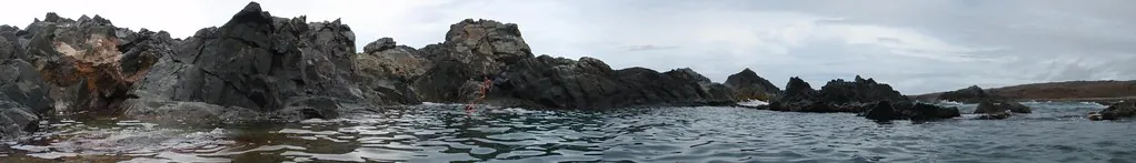 Natural Pool