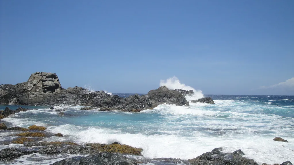 Natural pool