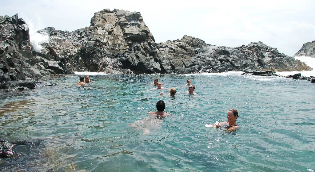 @ the Natural Pool